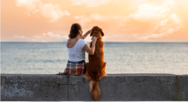 La ricerca: Cane e essere umano sono legati da un rapporto simile a quello genitore figlio.