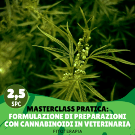 Masterclass pratica: formulazione di preparazioni con cannabinoidi in veterinaria